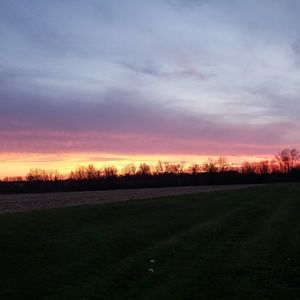 Meet your Posher, Carolyn